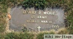 David J. Woll