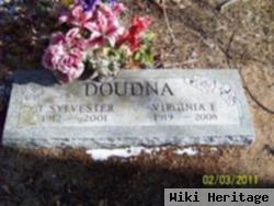 Joseph Sylvester Doudna