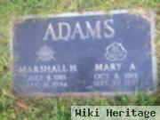 Mary S Ames Adams