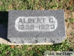 Albert Collins Greene