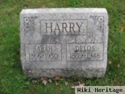 Delos Harry