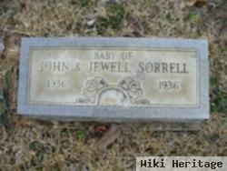 Infant Sorrell