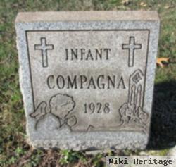 Infant Female Compagna