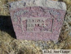 Bertha Lenona Briggs