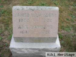 James H. Lambert