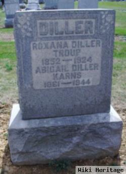 Roxana Diller Troup