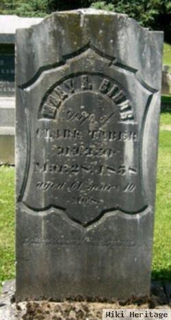 Mary Skinner Gibbs Taber