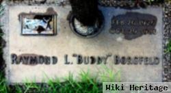 Raymond L. "buddy" Borgfeld