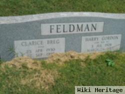 Clarice Breg Feldman