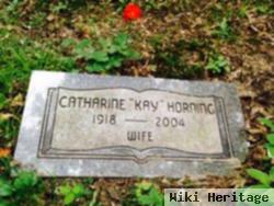 Catharine Parkinson Postma Horning