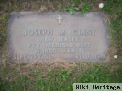 Joseph M. Giani