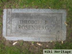 Theodore E. Rosenberg