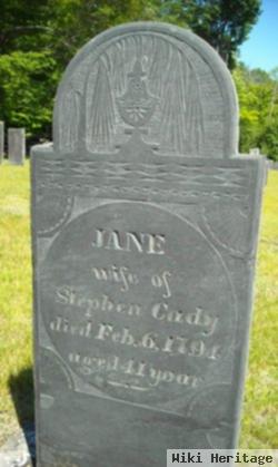 Jane Patrick Cady