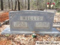 Virginia M Hillis