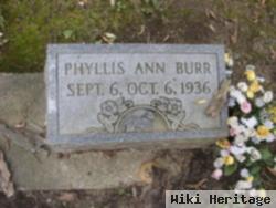 Phyllis Ann Burr