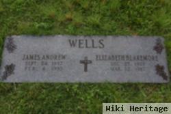 James Andrew Wells