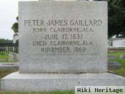 Peter James Gaillard