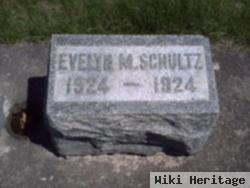 Evelyn M Schultz