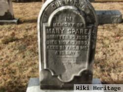 Mary Schantz Spare