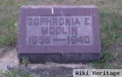 Saphronia E Moldin