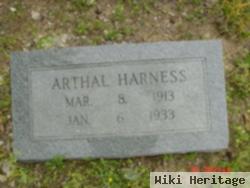 Arthal Harness