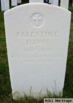 Palestine Davis