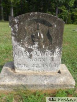 Mary Ann Woods