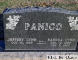 Sandra L. "sandy" Hudson Panico