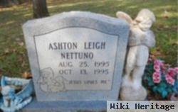 Ashton Leigh Nettuno