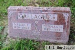 Thomas N Gallagher