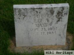 Eli A Mast