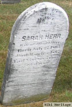 Sarah Strohm Herr