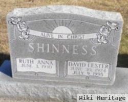 David Lester Shinness