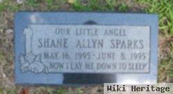 Shane Allyn Sparks