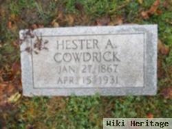 Hester Ann Luzier Cowdrick