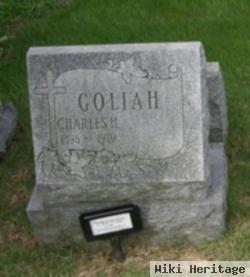 Martha Louise Carroll Goliah