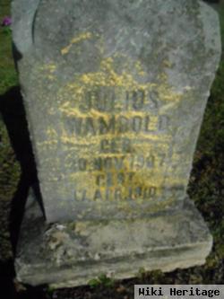 Julius Wambold