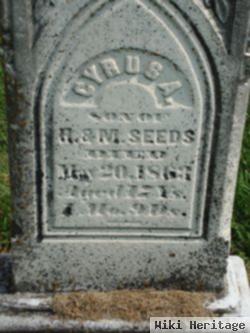 Cyrus Alton Seeds