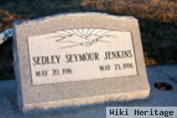 Sedley Seymour Jenkins