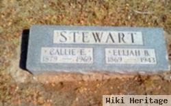 Elijah B Stewart