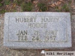 Hubert Harvy Hodge