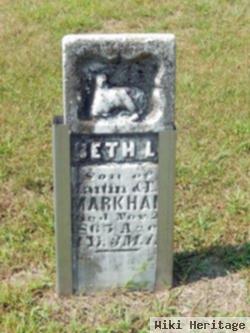 Seth L Markham