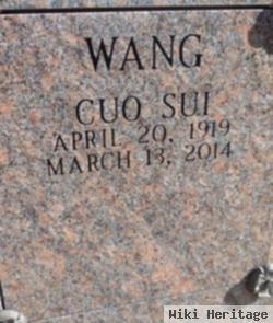 Cuo Sui Wang