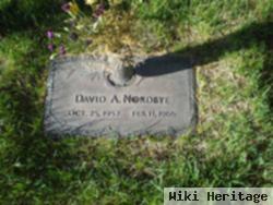 David A Nordbye