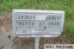 Amanda Walters James