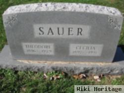 Theodore Sauer