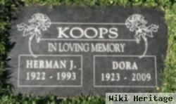 Herman John Koops