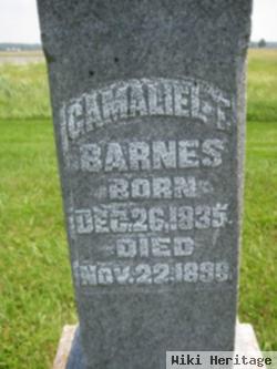 Gamaliel Barnes