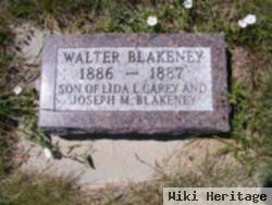 Walter Blakeney