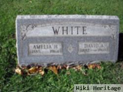 David K White